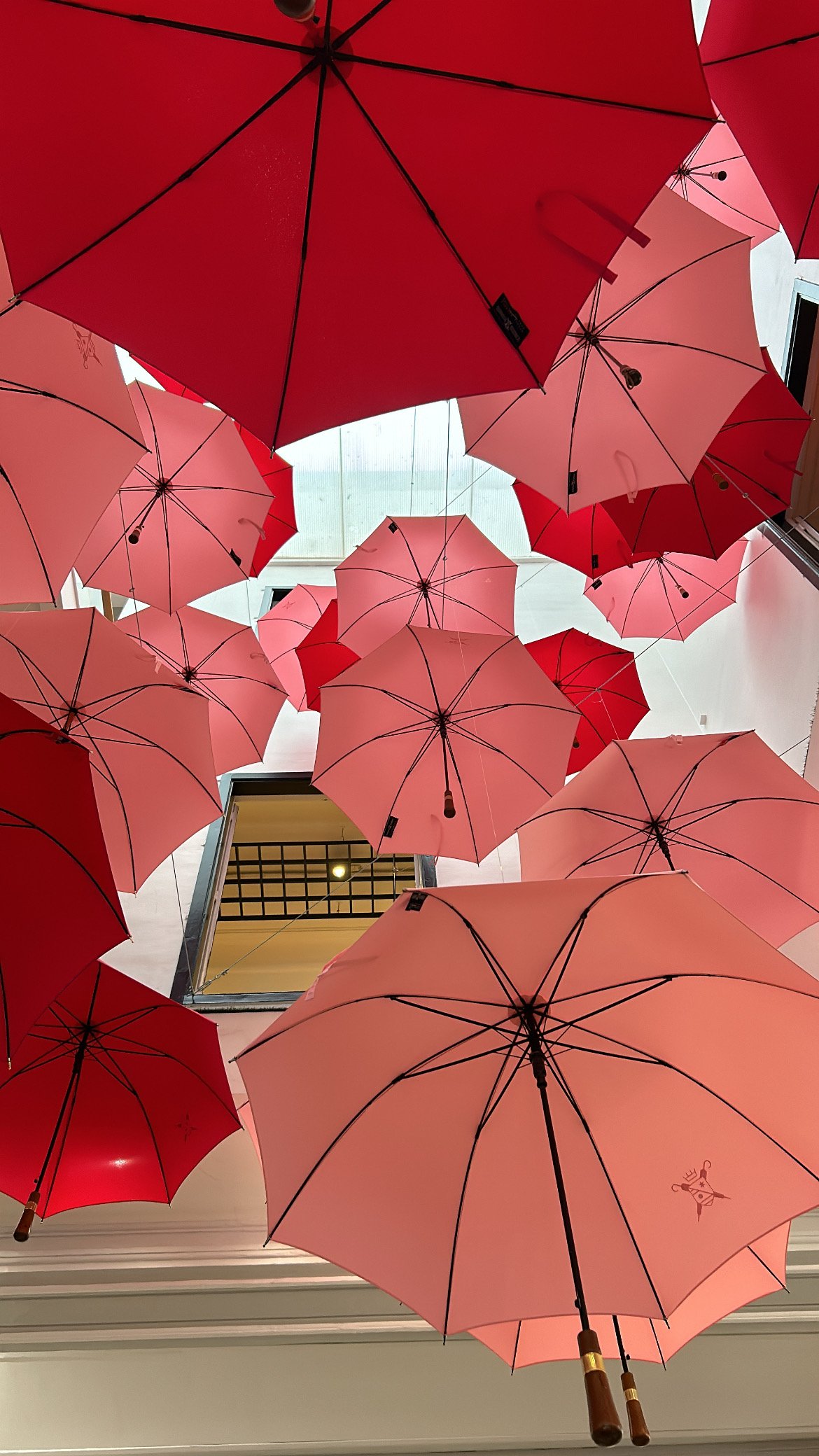 Parapluies Le Parapluie de Cherbourg roses et rouges, édition Octobre Rose